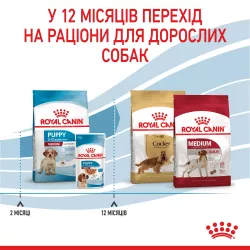 Medium Puppy 12+3 (15 кг) | Royal Canin | Сухий Корм Для Цуценят Середніх Порід