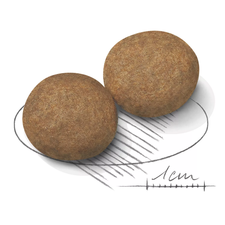 Замовити Medium Adult 15 кг Royal Canin | Знижка до 23% | Відправка з Києва по Україні