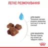 Замовити Mother & Babycat 8+2 (10 кг) Royal Canin | Знижка до 23% | Відправка з Києва по Україні