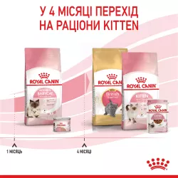 Замовити Mother & Babycat 8+2 (10 кг) Royal Canin | Знижка до 23% | Відправка з Києва по Україні