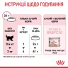 Замовити Mother & Babycat 8+2 (10 кг) Royal Canin | Знижка до 23% | Відправка з Києва по Україні