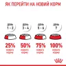 Замовити Mother & Babycat 8+2 (10 кг) Royal Canin | Знижка до 23% | Відправка з Києва по Україні