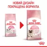 Замовити Mother & Babycat 8+2 (10 кг) Royal Canin | Знижка до 23% | Відправка з Києва по Україні