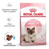 Замовити Mother & Babycat 8+2 (10 кг) Royal Canin | Знижка до 23% | Відправка з Києва по Україні