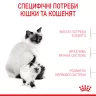 Замовити Mother & Babycat 8+2 (10 кг) Royal Canin | Знижка до 23% | Відправка з Києва по Україні