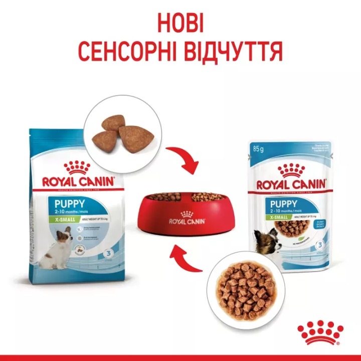 Замовити Xsmall Puppy 0.085 кг Royal Canin | Знижка до 23% | Відправка з Києва по Україні