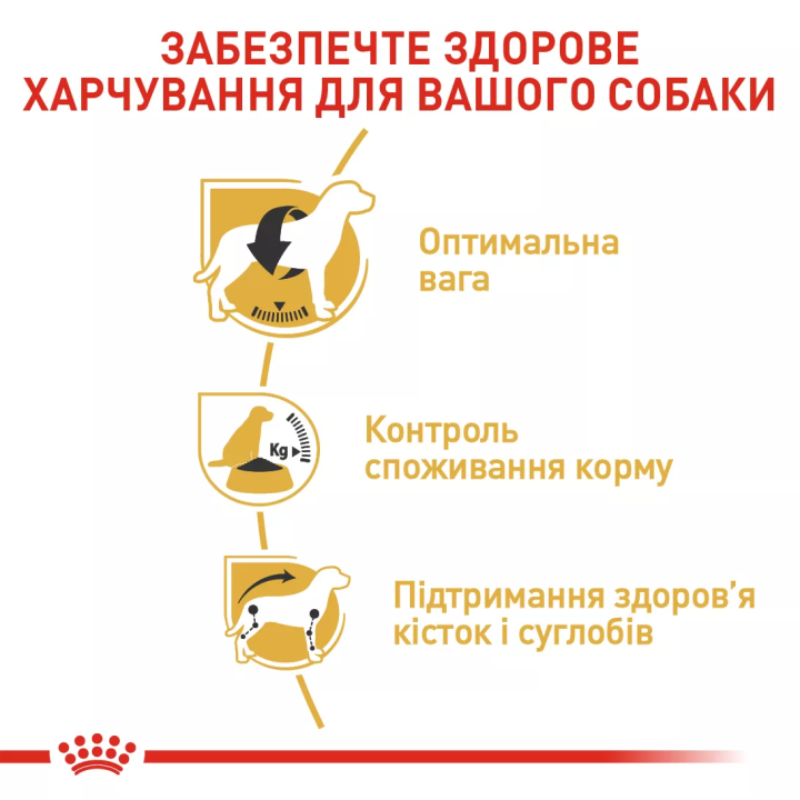 Замовити Beagle Adult 3 кг Royal Canin | Знижка до 23% | Відправка з Києва по Україні