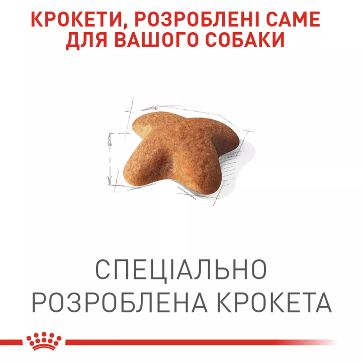 Замовити Beagle Adult 3 кг Royal Canin | Знижка до 23% | Відправка з Києва по Україні