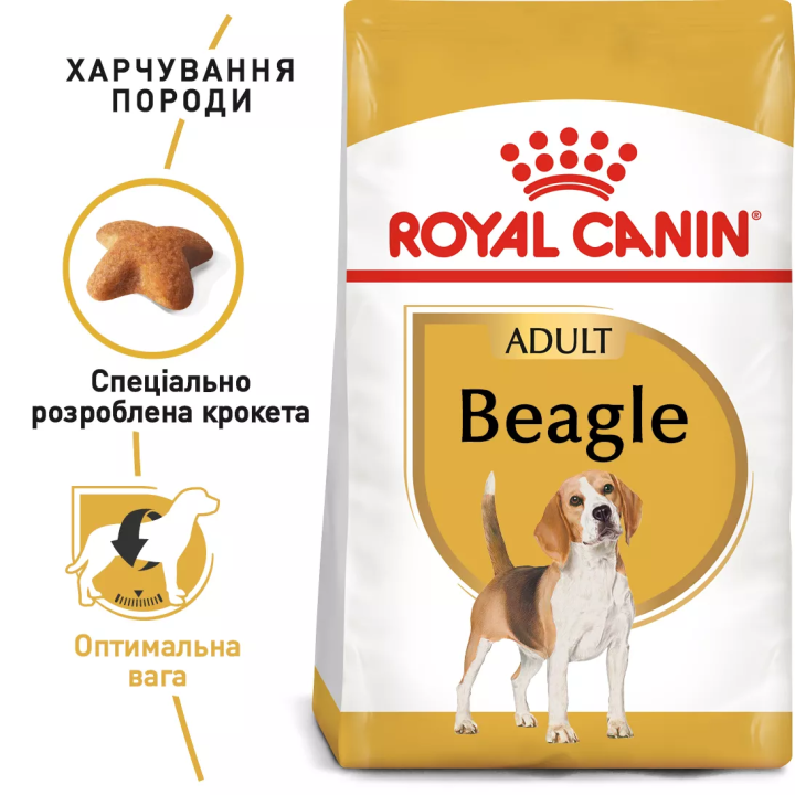 Замовити Beagle Adult 3 кг Royal Canin | Знижка до 23% | Відправка з Києва по Україні