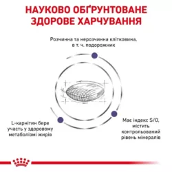 Замовити Neutered Satiety Balance 3.5 кг Royal Canin | Знижка до 23% | Відправка з Києва по Україні