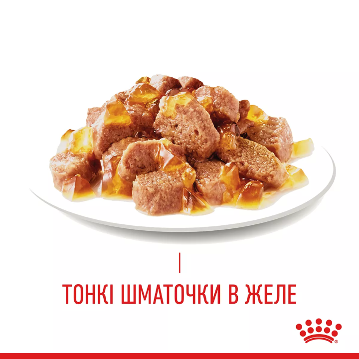 Замовити HAIR & SKIN CARE In Jelly 0.085 кг Royal Canin | Знижка до 23% | Відправка з Києва по Україні