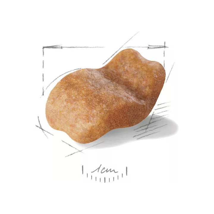 Замовити Bulldog Adult 3 кг Royal Canin | Знижка до 23% | Відправка з Києва по Україні