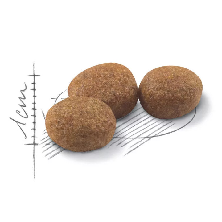 зображення крокет Корму для стерилізованих котів ROYAL CANIN STERILISED