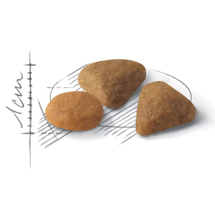 Акція - 8+2 кг Exigent Savour 10 кг Royal Canin | Знижка до 23% | Відправка з Києва по Україні