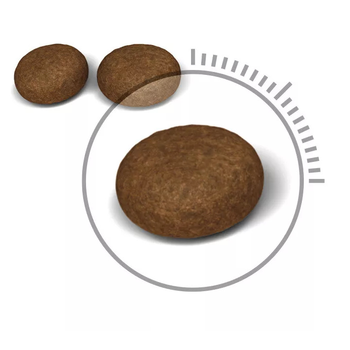 Акція - 8+2 кг Hair And Skin Care 10 кг Royal Canin | Знижка до 23% | Відправка з Києва по Україні