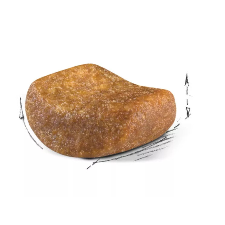 Акція - 8+2 кг British Shorthair Adult 10 кг Royal Canin | Знижка до 23% | Відправка з Києва по Україні