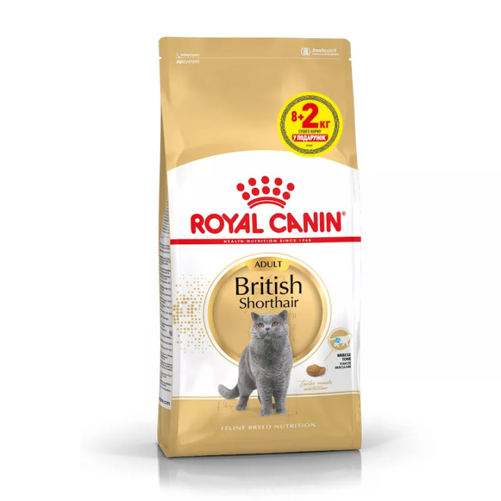 Акція - 8+2 кг British Shorthair Adult 10 кг Royal Canin | Знижка до 23% | Відправка з Києва по Україні