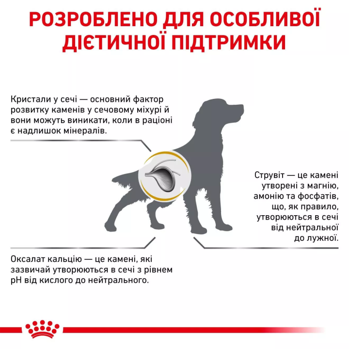 Замовити Urinary Canine 13 кг Royal Canin | Знижка до 23% | Відправка з Києва по Україні