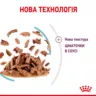 Замовити Sensory Multipack 3x4x85g Royal Canin | Знижка до 23% | Відправка з Києва по Україні