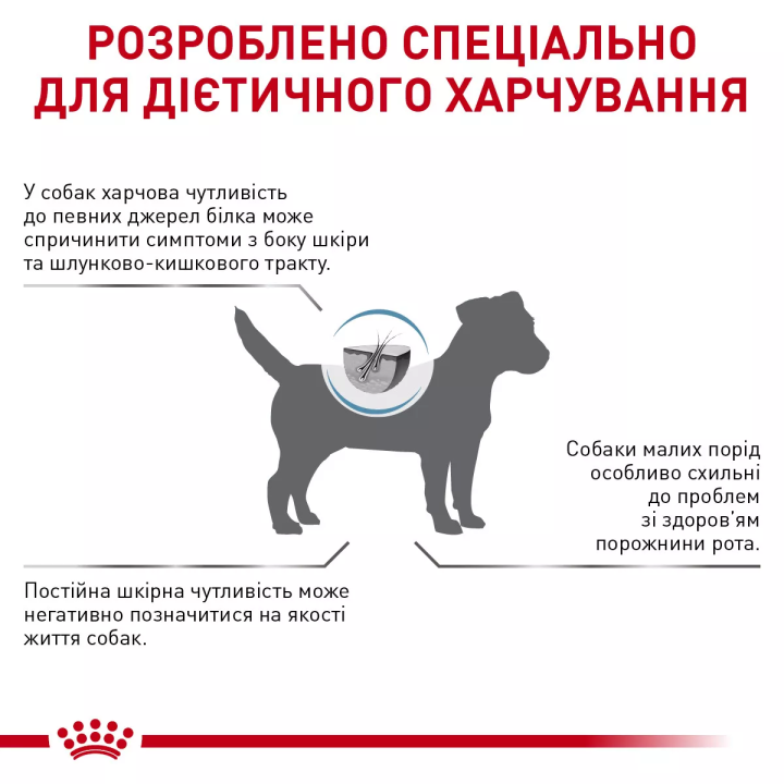 Замовити Anallergenic Small Dog 3 кг Royal Canin | Знижка до 23% | Відправка з Києва по Україні