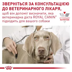 Замовити Anallergenic Small Dog 1.5 кг Royal Canin | Знижка до 23% | Відправка з Києва по Україні