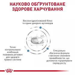 Замовити Hypoallergenic Puppy 1.5 кг Royal Canin | Знижка до 23% | Відправка з Києва по Україні