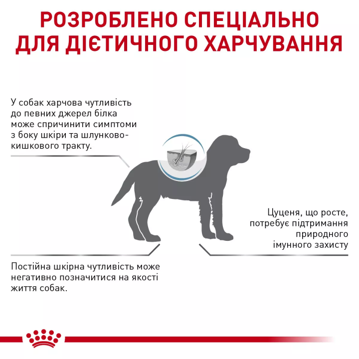Замовити Hypoallergenic Puppy 1.5 кг Royal Canin | Знижка до 23% | Відправка з Києва по Україні