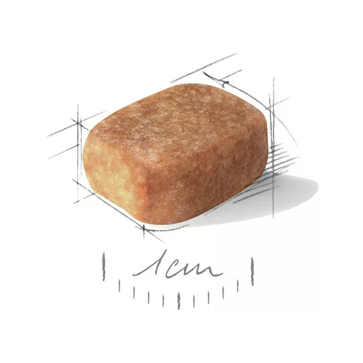 Акція - 0.3 кг Подарунок - Chihuahua Adult 1.5 кг Royal Canin | Знижка до 23% | Відправка з Києва по Україні