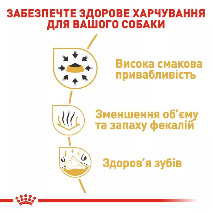 Акція - 0.3 кг Подарунок - Chihuahua Adult 1.5 кг Royal Canin | Знижка до 23% | Відправка з Києва по Україні