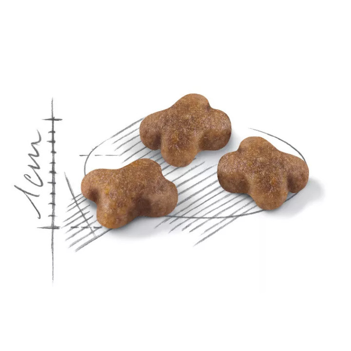 Акція - 0.4 кг Подарунок - Kitten 2 кг Royal Canin | Знижка до 23% | Відправка з Києва по Україні