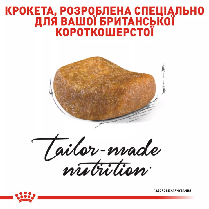 Акція - 0.4 кг Подарунок - British Shorthair Adult 2 кг Royal Canin | Знижка до 23% | Відправка з Києва по Україні
