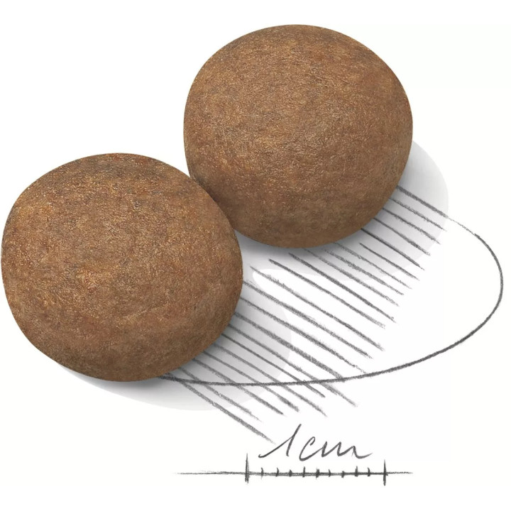 12+3 кг Royal Canin Maxi Adult 15 кг | Сухий Корм Для Дорослих Собак Великих Розмірів