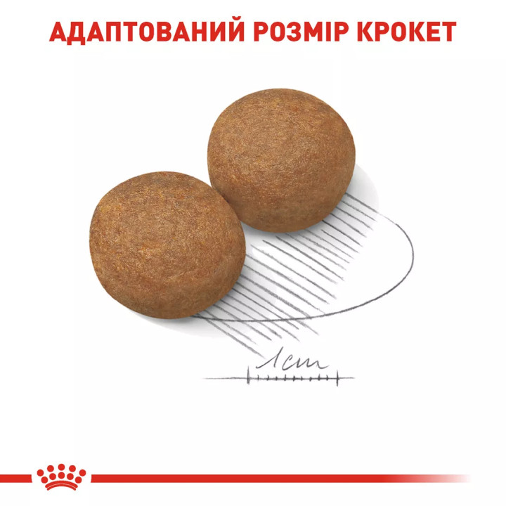 12+3 кг Royal Canin Maxi Adult 15 кг | Сухий Корм Для Дорослих Собак Великих Розмірів