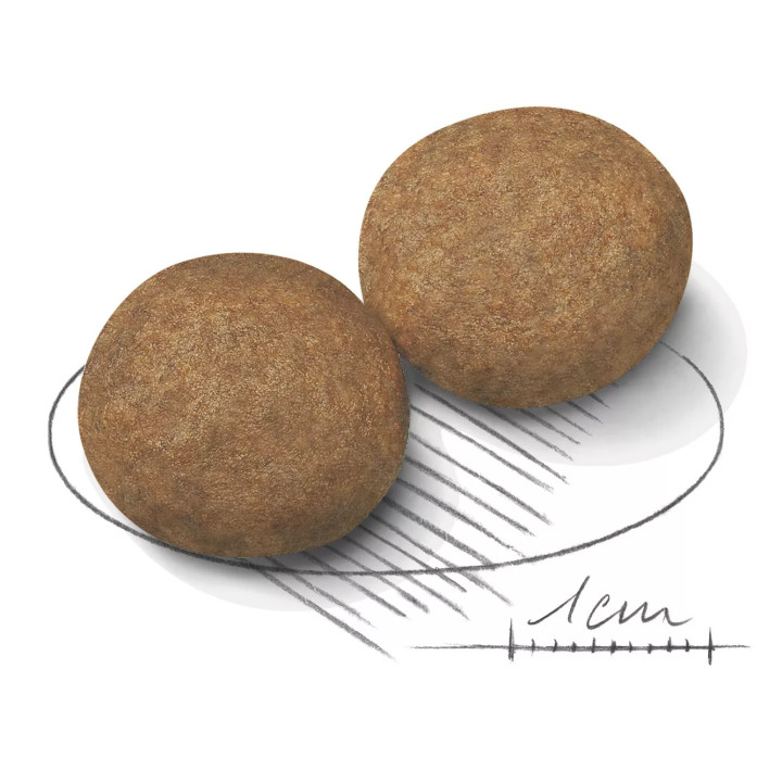 Замовити Medium Adult 15 кг Royal Canin | Знижка до 23% | Відправка з Києва по Україні