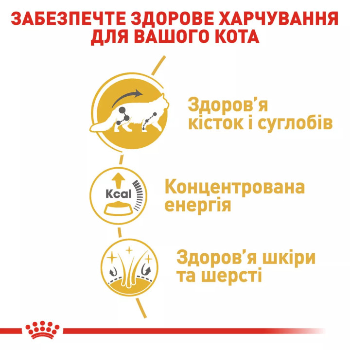 Royal Canin 3+1 Maine Coon Adult 0.085 кг - Консервований Корм Для Котів Мейнкун Паучі
