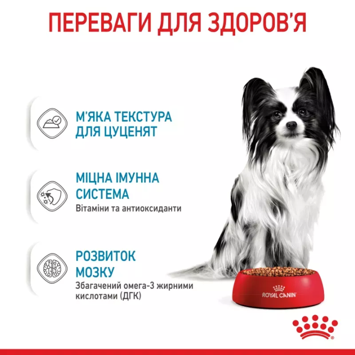 Замовити Xsmall Puppy 0.085 кг Royal Canin | Знижка до 23% | Відправка з Києва по Україні