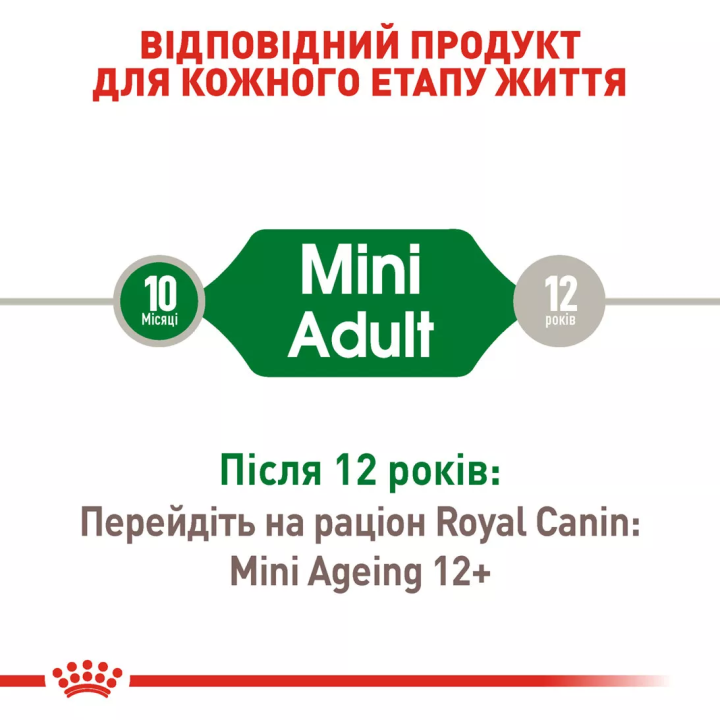 Замовити Mini Adult 0.085 кг Royal Canin | Знижка до 23% | Відправка з Києва по Україні