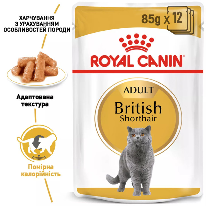 Замовити British Shorthair Adult 0.085 кг Royal Canin | Знижка до 23% | Відправка з Києва по Україні