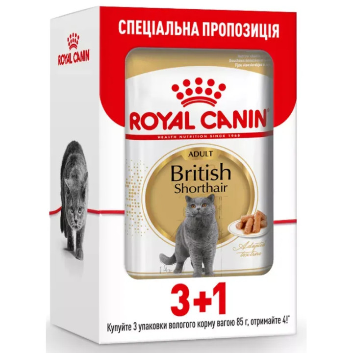 Замовити British Shorthair Adult 0.085 кг Royal Canin | Знижка до 23% | Відправка з Києва по Україні
