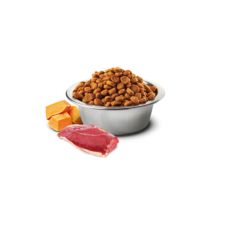 Farmina Pumpkin качка та диня для собак 12 кг | Беззерновий корм