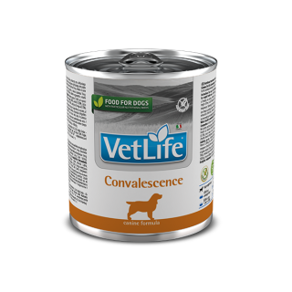 Farmina Vet Life Convalescence для собак 300 г - вологий корм для відновлення