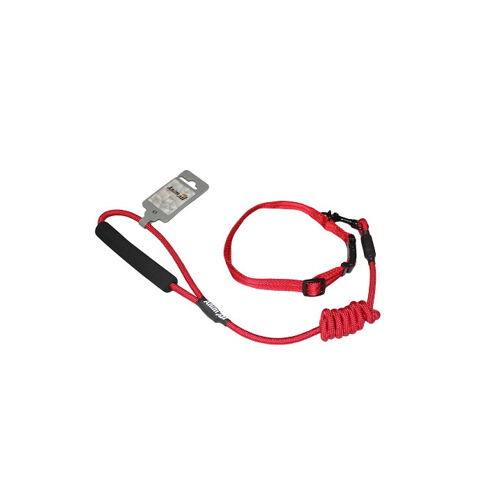 Комплект нашийник та повідець AnimAll M Червоний | Купити для собак