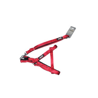 Набір шлея та повідець AnimAll для собак Червоний | Купити 33-50см