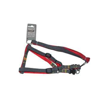 Набір шлея та повідець AnimAll Denim червоний | Купити для собак