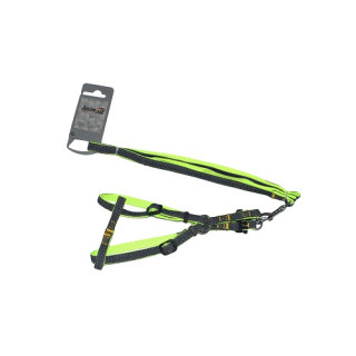 Набір шлея та повідець AnimAll Denim зелений | Купити для собак