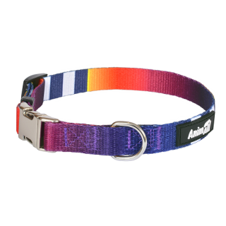 Нашийник AnimAll M-3 2×33-50 см - купити для собаки в ZooOpt