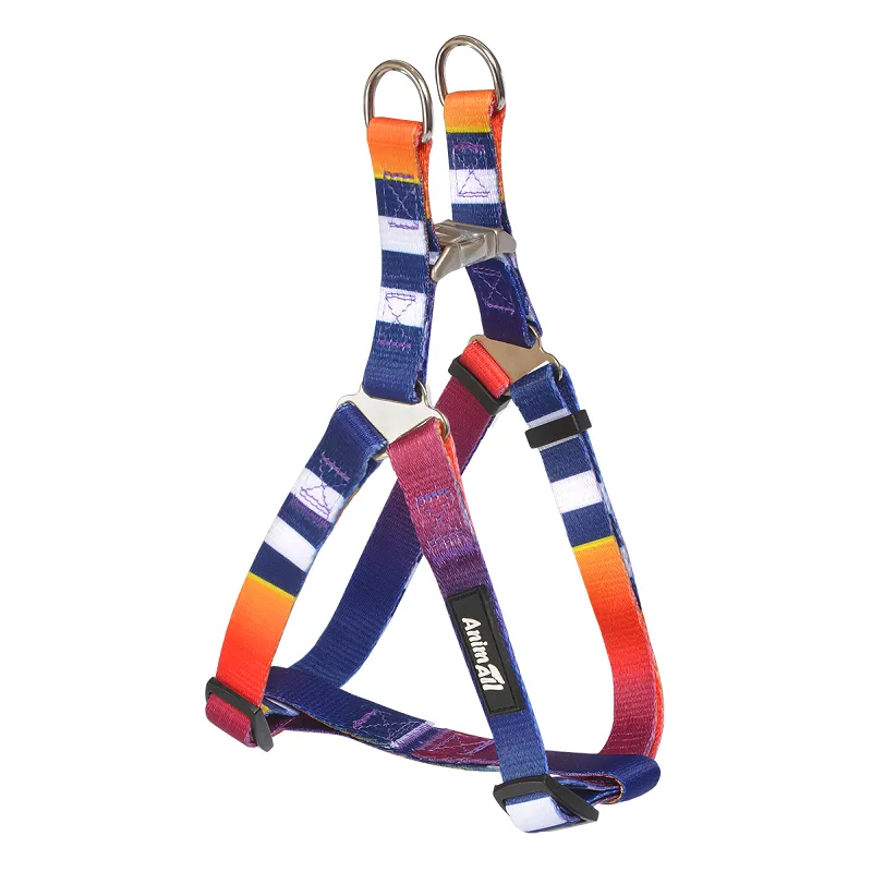 Шлея для собак AnimAll нейлонова L (50-78 см) - купити в zooopt.net