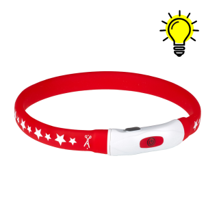 LED нашийник AnimAll для собак S (40 см, червоний) купити | ZooOpt