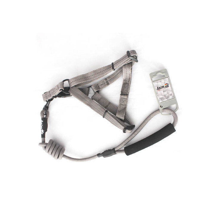 Шлея з повідцем AnimAll (S, сірий) | Купити комплект | ZooOpt