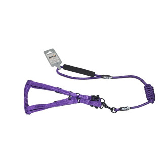 Комплект шлея з повідцем AnimAll S синій - купити для тварин